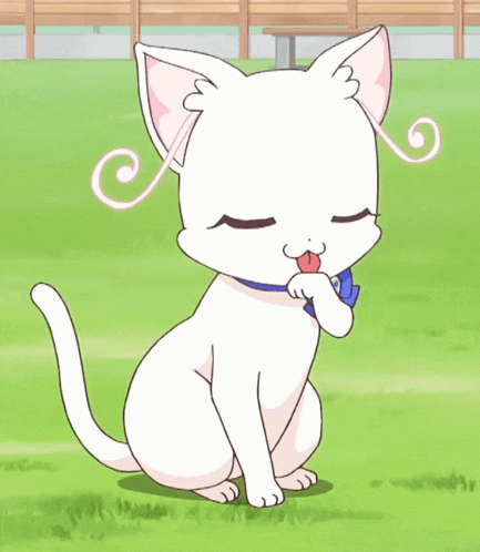 a white cat with a blue collar is sitting in the grass