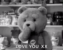 Ted Ted2 GIF - Ted Ted2 Teddybear GIFs