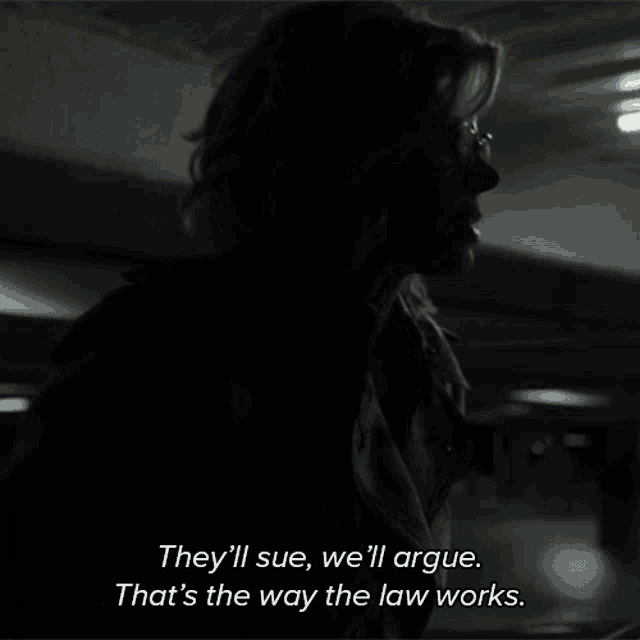 Theyll Sue Well Argue Thats The Way The Law Works GIF - Theyll Sue Well Argue Thats The Way The Law Works Diane Lockhart GIFs