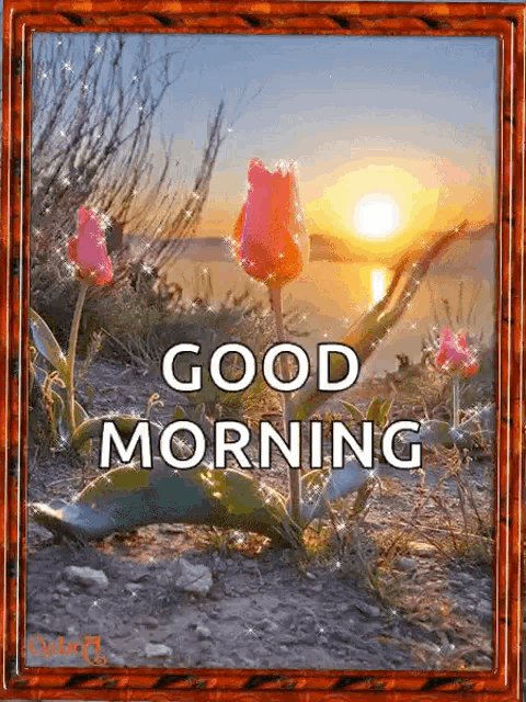 a picture of flowers with the words " good morning " on it