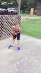 Basketball In The Country GIF - Country Basketball Chicken GIFs