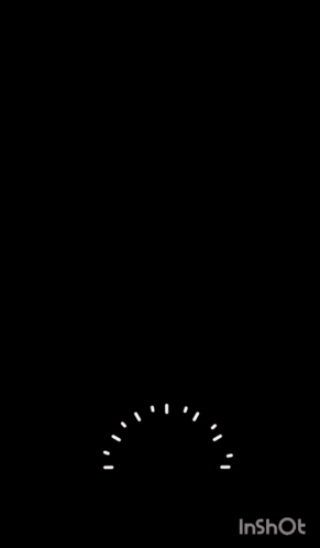a woman 's face is shown in a video that says inshot on the bottom