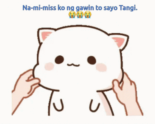 Tangi Missing You GIF - Tangi Missing You Cat GIFs