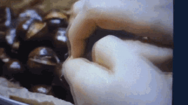 a close up of a person 's hand holding something in front of a pile of food