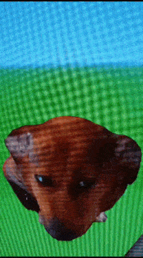 a close up of a dog 's face with a green background