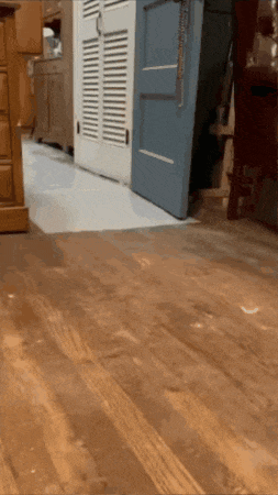 a wooden floor in a room with a blue door in the background