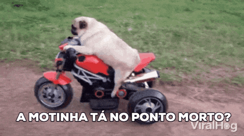 a pug dog is riding a toy motorcycle with the caption " a motinha ta no ponto morto ? "