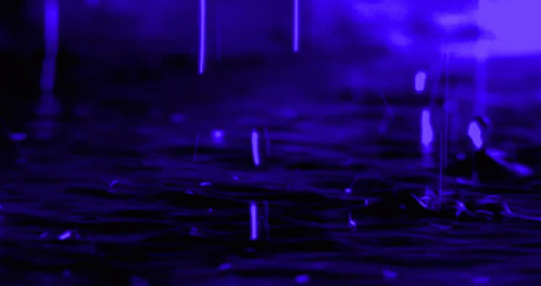 Aesthetic Rain GIF