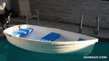 Dog Boat Fail GIF - Boat Boat Fail Dog GIFs