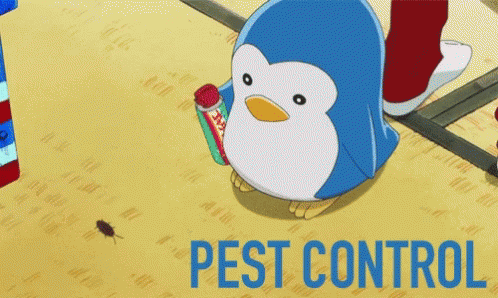 Pest Control Cockroaches GIF - Pest Control Cockroaches GIFs