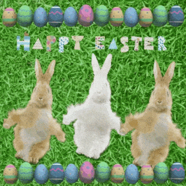 Bunny Dancing GIF - Bunny Dancing Easter GIFs