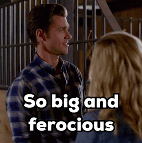 Kevinmcgarry Autumnstables GIF - Kevinmcgarry Autumnstables Big GIFs