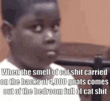 a young boy is sitting in a chair with a caption that says when the smell of cat shit carried