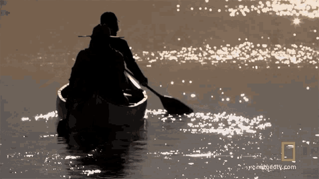 Rowing Exercise GIF - Rowing Exercise Row Your Boat GIFs