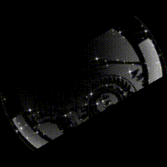 a black and white image of a person 's stomach