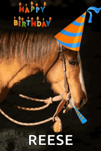 a birthday card with a horse wearing a party hat and the name reese on it