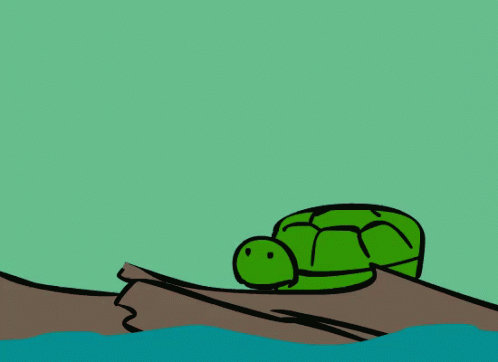 Turtle And The Dragonfly GIF - Turtle Dragonfly GIFs