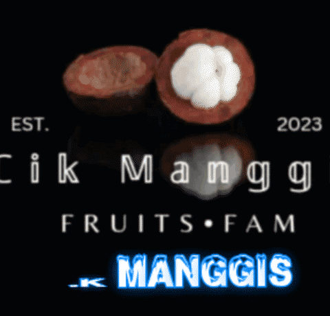 Manggis Fruits GIF - Manggis Fruits Buah GIFs
