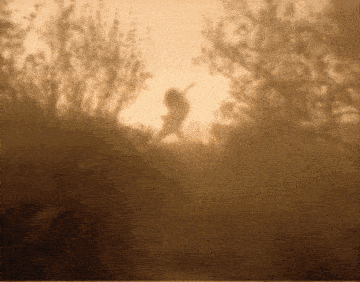 a silhouette of a person standing in the woods with trees in the background