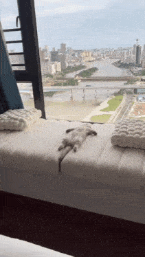 Cat Relax GIF - Cat Relax Life Is Good GIFs