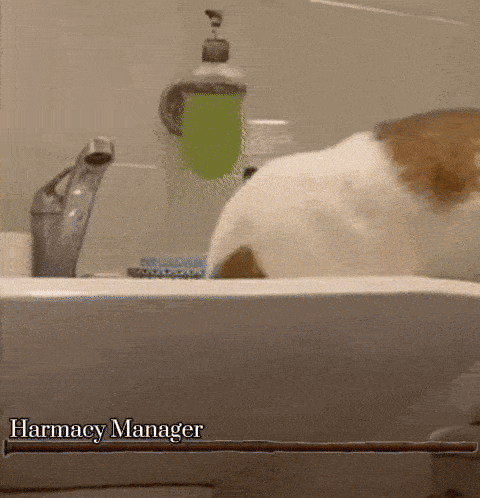 a cat looking at itself in a bathroom sink with the words " harmacy manager " on the bottom