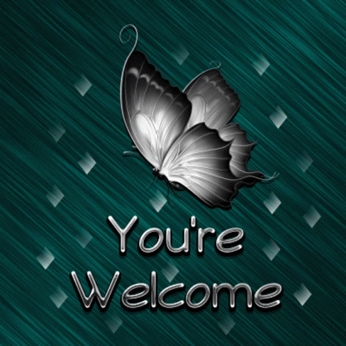 Youre Welcome Butterfly GIF - Youre Welcome Butterfly Teal GIFs