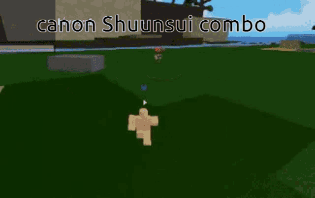 a screenshot of a video game that says canon shuunsui combo on it