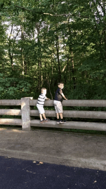 two young boys are playing on a wooden fence