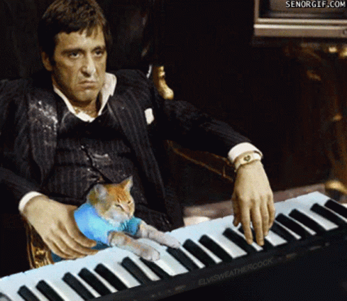 Scarface Cat Piano Yaralıyüz GIF - Scarface Cat Piano Yaralıyüz Al Pacino GIFs