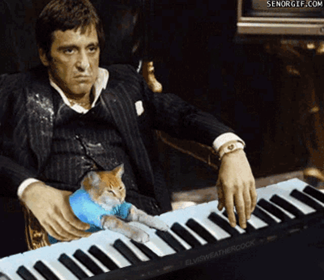 a man playing a piano with a cat sitting on it