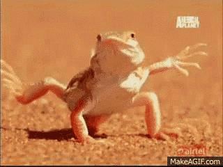 a lizard is standing on its hind legs on a dirt ground .