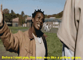 a man in a brown jacket says " before i met you the sun was like a yellow grape .. "