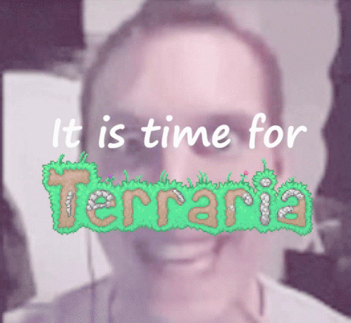 It Is Time For Terraria Terraria GIF - It Is Time For Terraria Terraria GIFs