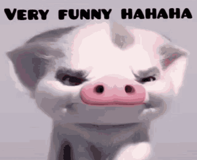 Pua Pig Angry GIF - Pua Pig Angry GIFs