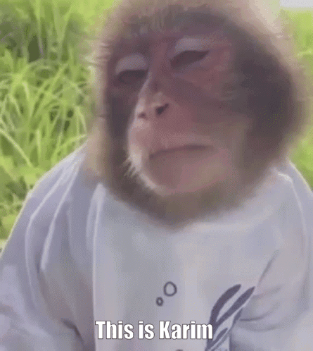 Karim Monkey GIF