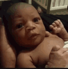 a baby is being held in a person 's hands and looking at the camera .