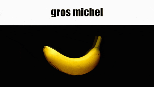 a yellow banana is on a black background with the words gros michel below it