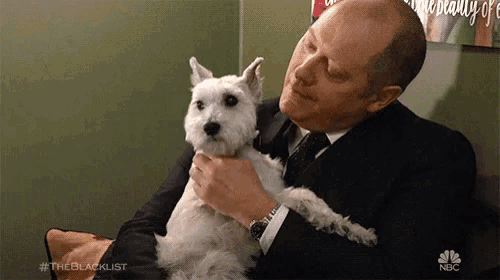a man in a suit and tie is petting a small white dog .