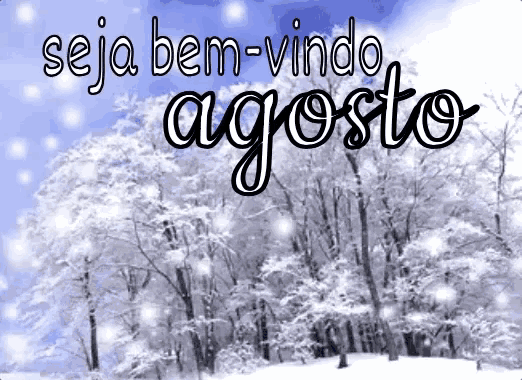 a snowy forest with the words seja bem-vindo agosto on it