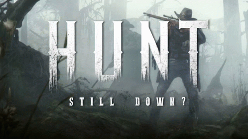 Hunt Showdown Hunt Slowdown GIF - Hunt Showdown Hunt Slowdown Hunt Server Down GIFs
