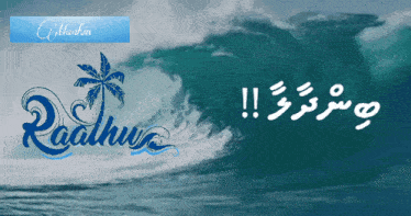 a poster with a palm tree and the word raadhu