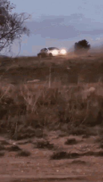 a car is driving down a dirt road in the countryside