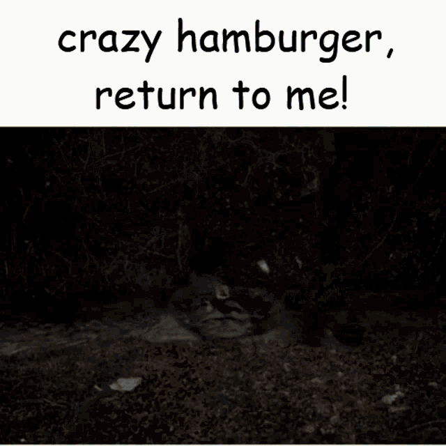 Crazy Hamburger Joker GIF - Crazy Hamburger Joker Meme GIFs