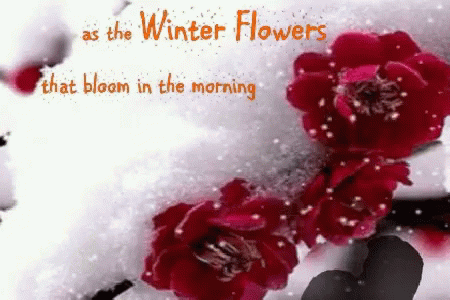 Winter Flowers Good Morning GIF - Winter Flowers Good Morning Snowing GIFs
