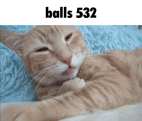 a cat laying on a blue blanket with the words balls 532 written above it