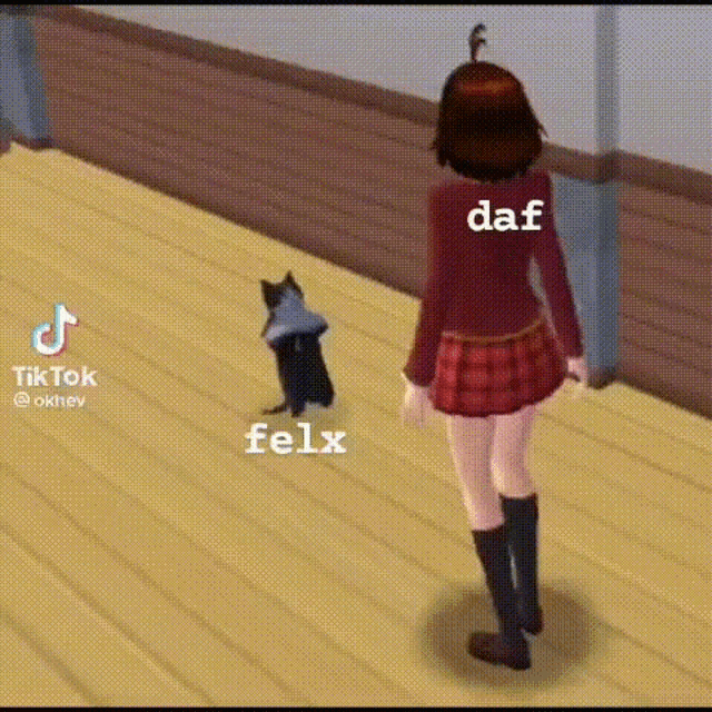 a girl is standing next to a black cat in a video game .