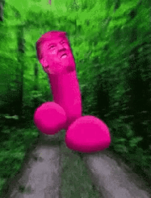 a man with a pink penis is walking down a path in a forest .