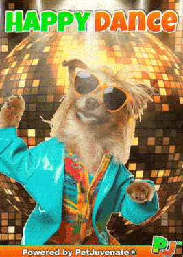 a dog is dancing in front of a disco ball with the words happy dance