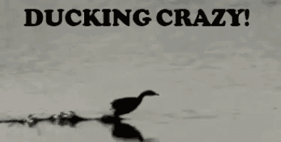 a black and white photo of a duck with the words ducking crazy