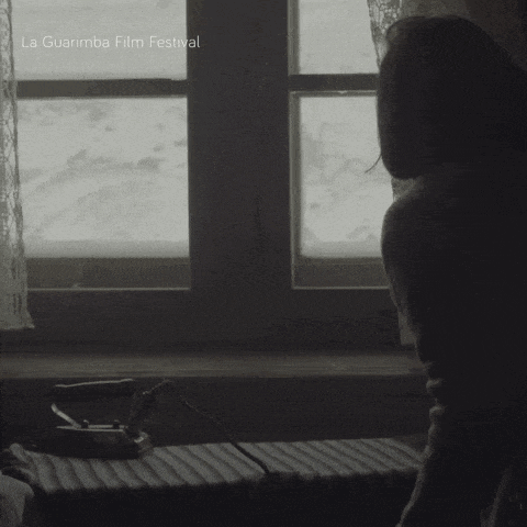 a black and white photo of a person in front of a window that says la guarimba film festival